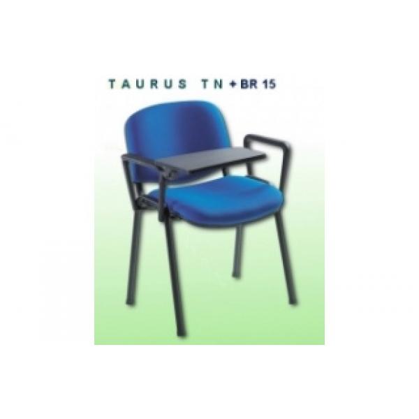 Taurus TN+BR15